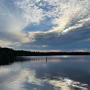 Meet your Posher, Jacqueline